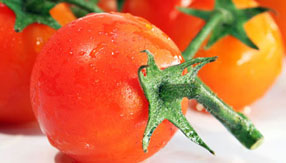 服务器攻击方式